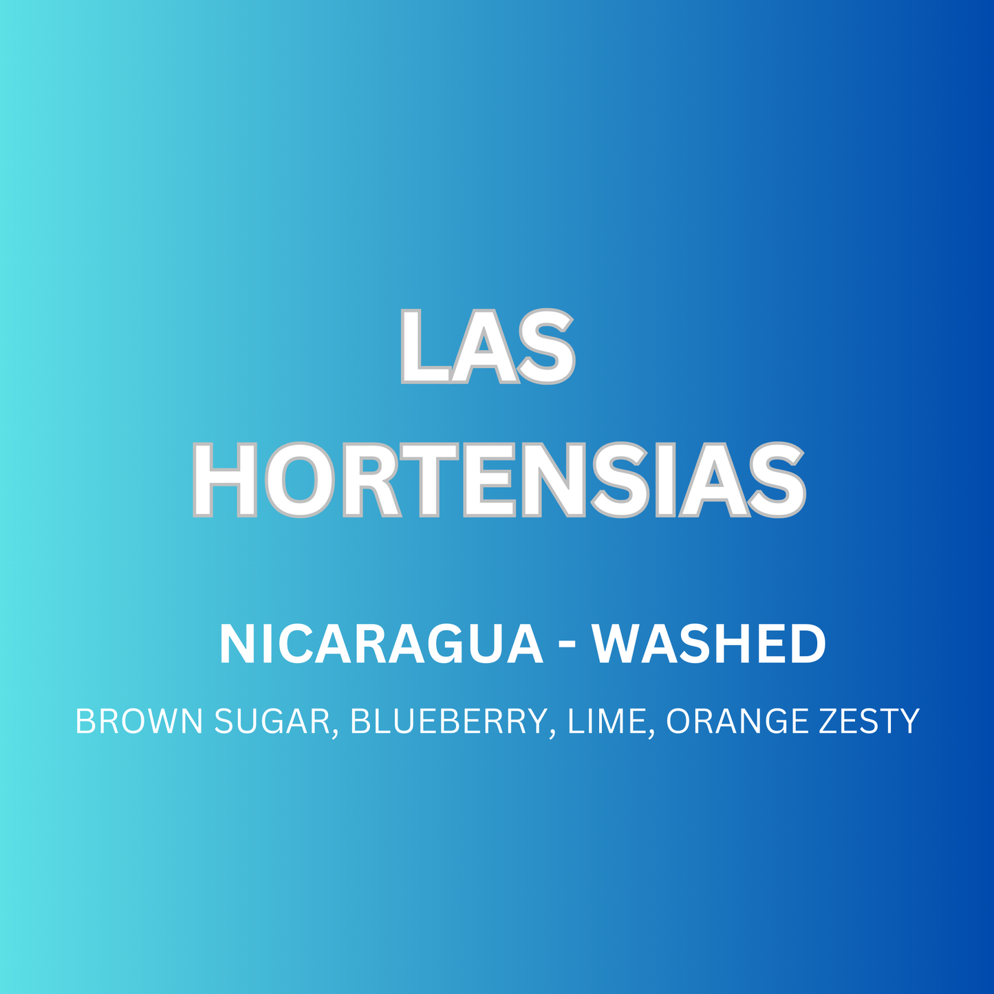 Las Hortensias - Washed