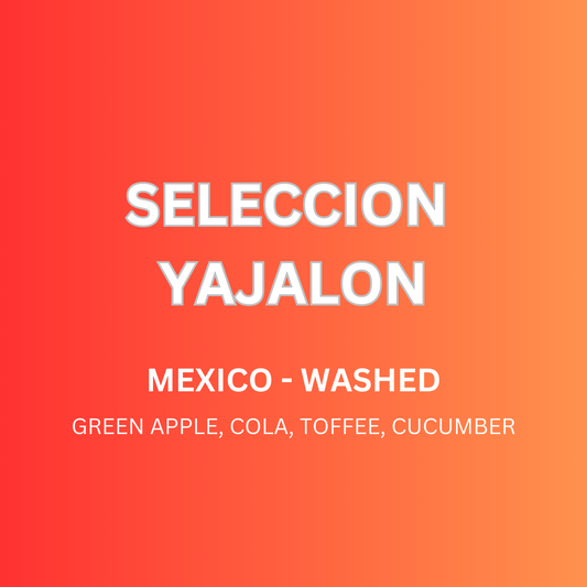 Seleccion Yajalon Mexico - Washed